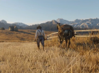 Red Dead Redemption 2-traileren under lupen